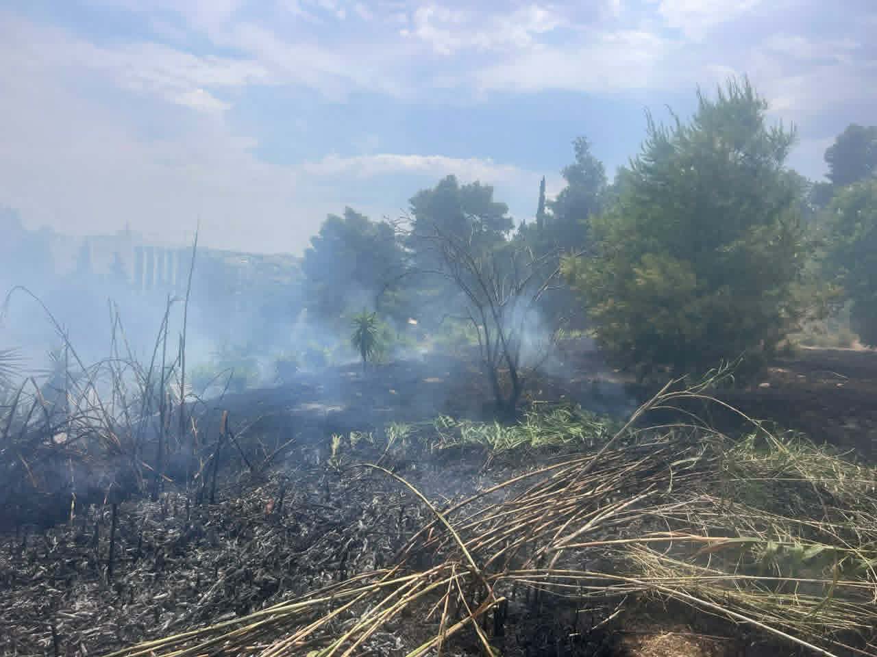 Φιλοθέη: Βίντεο-ντοκουμέντο καταγράφει μελισσοκόμο να φεύγει όταν ξέσπασε η φωτιά – Αναγνωρίστηκε και αναζητείται