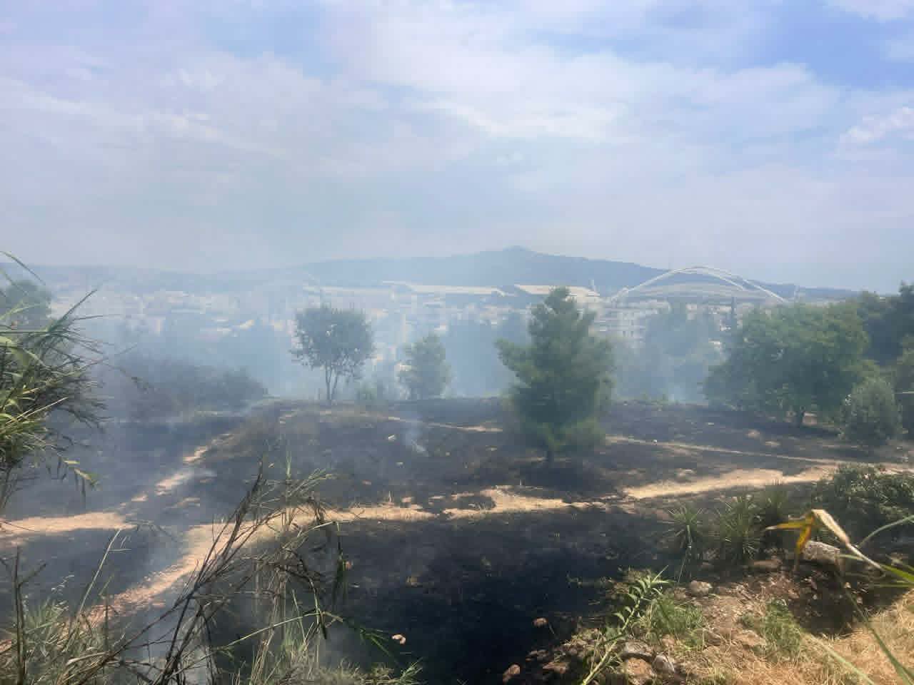 Φιλοθέη: Βίντεο-ντοκουμέντο καταγράφει μελισσοκόμο να φεύγει όταν ξέσπασε η φωτιά – Αναγνωρίστηκε και αναζητείται