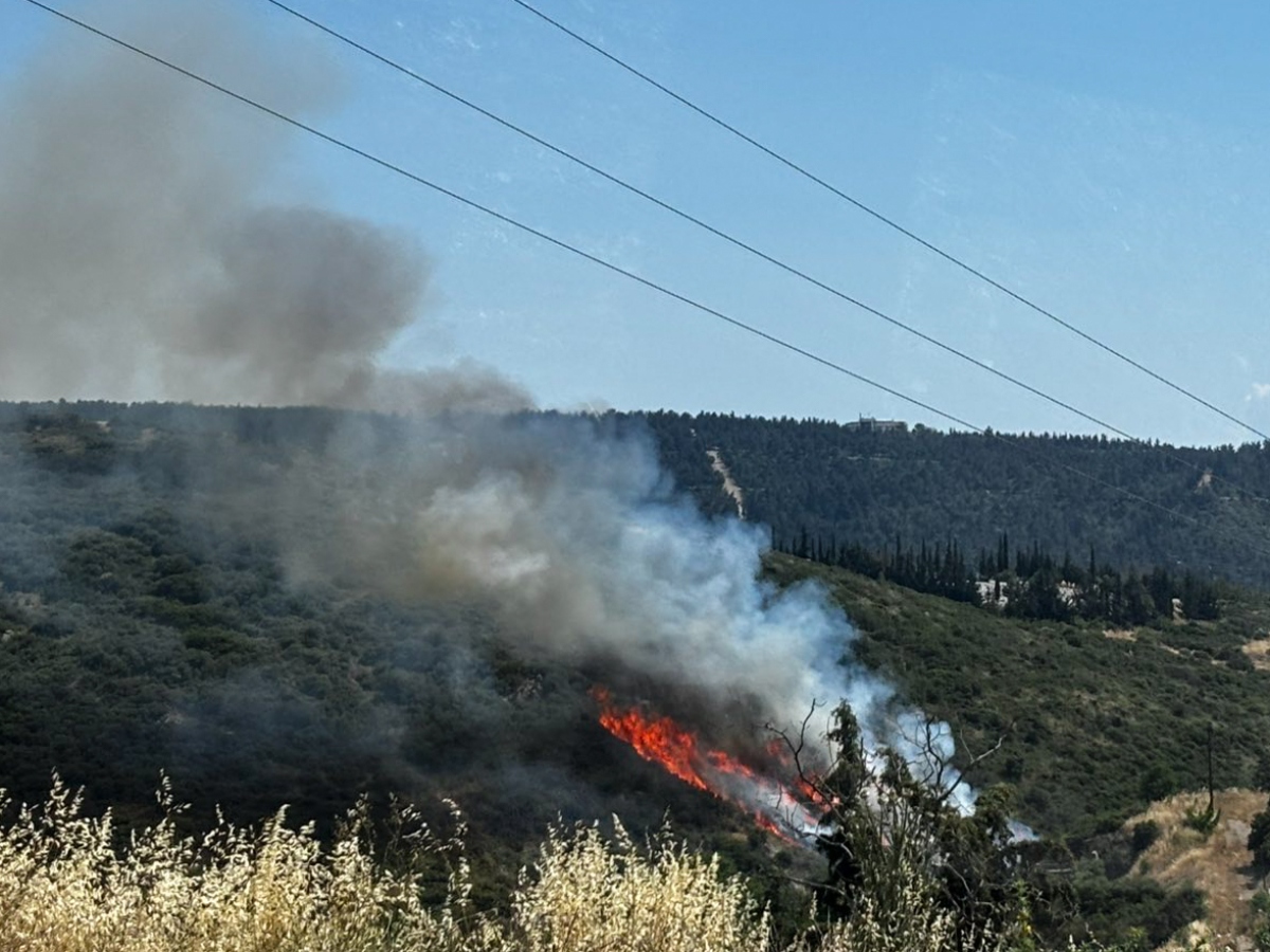 Home 78 Πυρκαγιά στα Πεύκα Θεσσαλονίκης: Μαίνεται σε δασική ζώνη – Ενεργοποιήθηκε το 112