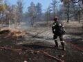 Πρόστιμο 3.000 ευρώ σε ηλικιωμένο στη Νέα Μάκρη για ψησταριά – 44 πυρκαγιές το τελευταίο 24ωρο