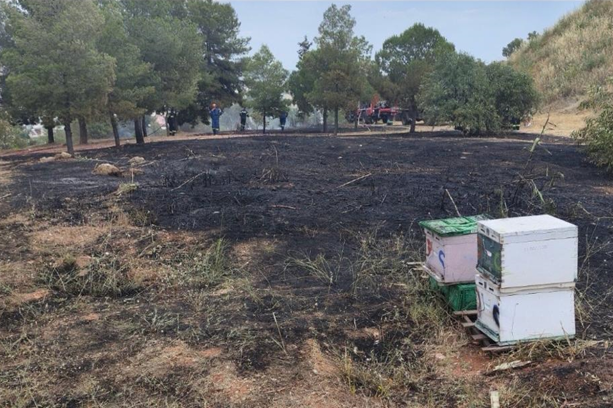 φωτια Άλσος Βεΐκου