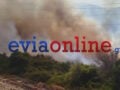 Αναζωπυρώθηκε η φωτιά στην Εύβοια: Τα στοιχεία που «δείχνουν» εμπρησμό