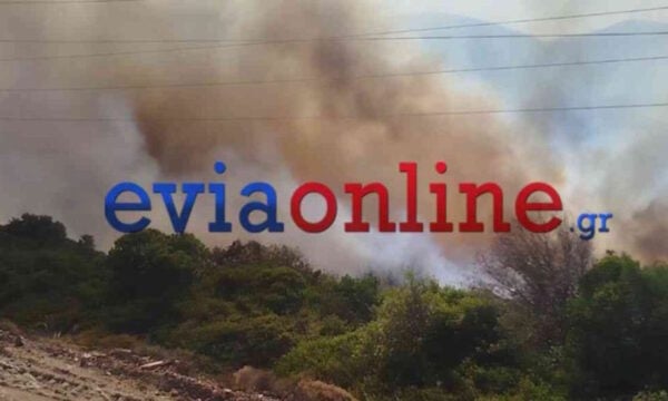 Αναζωπυρώθηκε η φωτιά στην Εύβοια: Τα στοιχεία που «δείχνουν» εμπρησμό