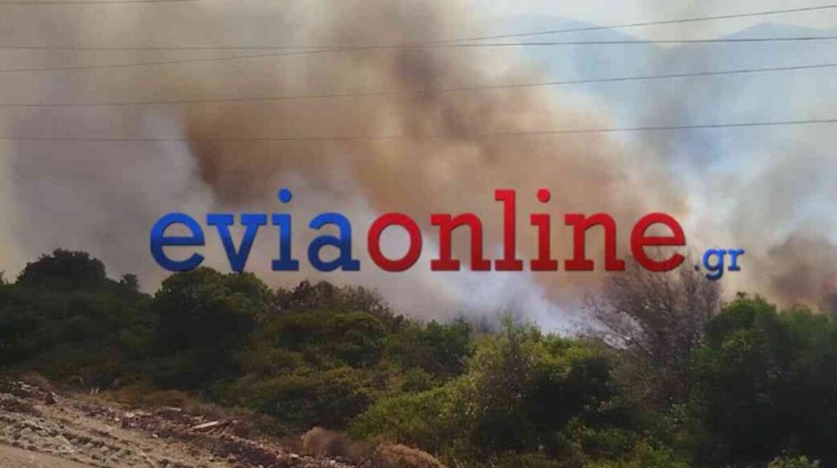 Αναζωπυρώθηκε η φωτιά στην Εύβοια: Τα στοιχεία που «δείχνουν» εμπρησμό