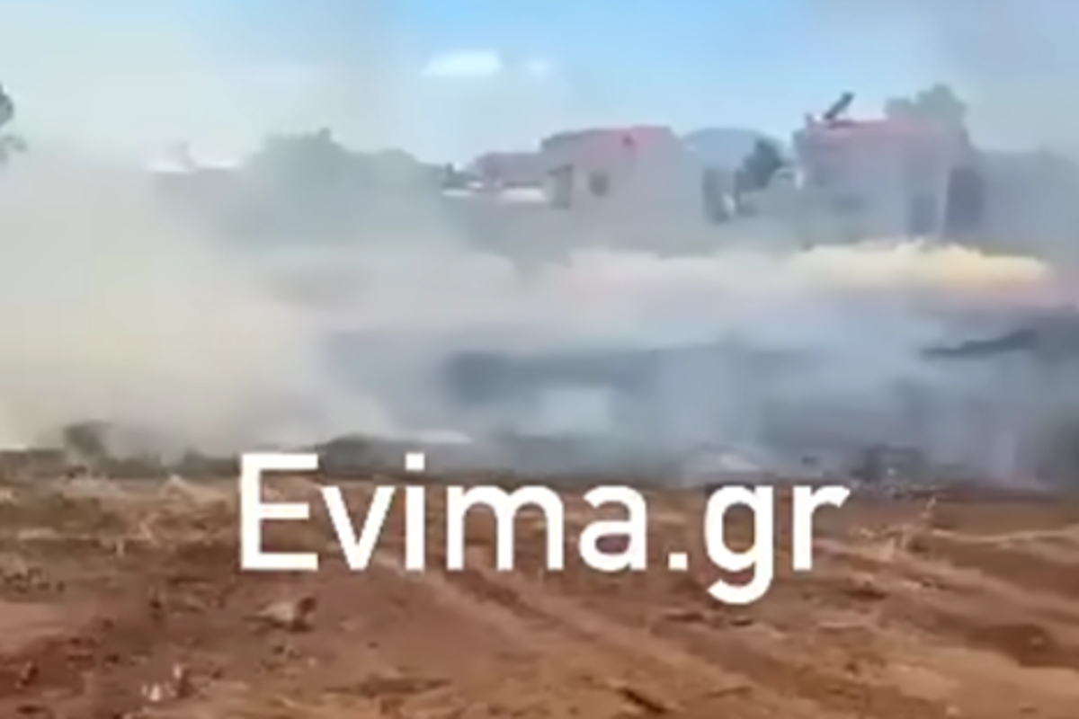 Εύβοια: Συνελήφθη 50χρονος για πυρκαγιά πλησίον κατοικιών στη Νέα Αρτάκη