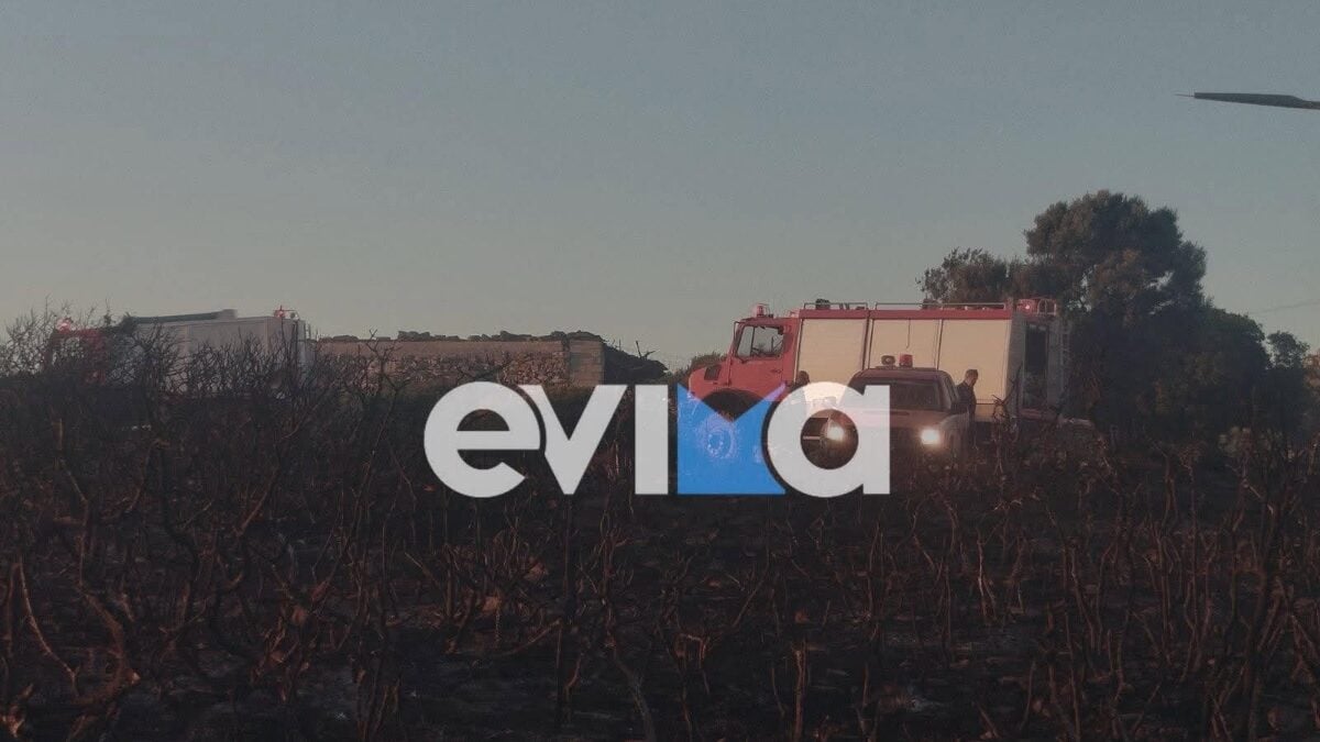 Εύβοια: Οριοθετήθηκε η φωτιά, φόβοι για αναζωπυρώσεις μετά την πολύωρη μάχη με τις φλόγες – 41 ενάρξεις αντιμετωπίστηκαν το τελευταίο 24ωρο 4 Εύβοια: Οριοθετήθηκε η φωτιά, φόβοι για αναζωπυρώσεις μετά την πολύωρη μάχη με τις φλόγες – 41 ενάρξεις αντιμετωπίστηκαν το τελευταίο 24ωρο