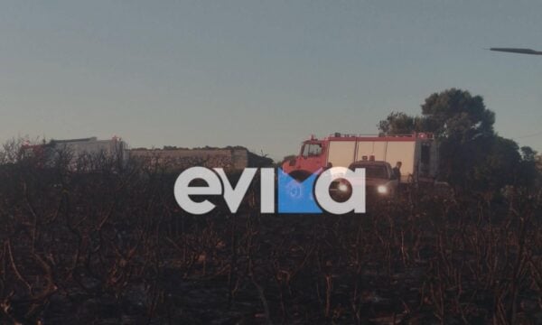 Εύβοια: Οριοθετήθηκε η φωτιά, φόβοι για αναζωπυρώσεις μετά την πολύωρη μάχη με τις φλόγες – 41 ενάρξεις αντιμετωπίστηκαν το τελευταίο 24ωρο