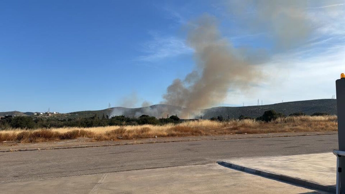 Φωτιά στην Κερατέα, κοντά στην Ιερά Μονή Παναγίας Θεοσκέπαστης: Σηκώθηκαν 3 ελικόπτερα 1 Φωτιά στην Κερατέα, κοντά στην Ιερά Μονή Παναγίας Θεοσκέπαστης: Σηκώθηκαν 3 ελικόπτερα