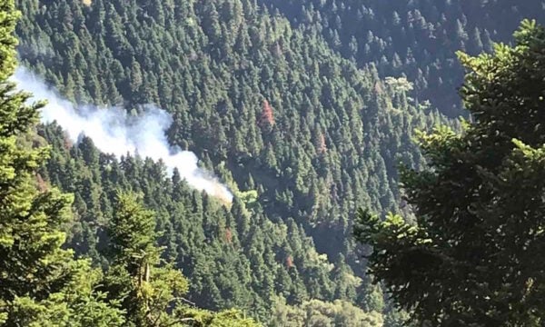 Φωτιά στα Κρυονέρια Ναυπακτίας: Σηκώθηκαν 4 εναέρια μέσα