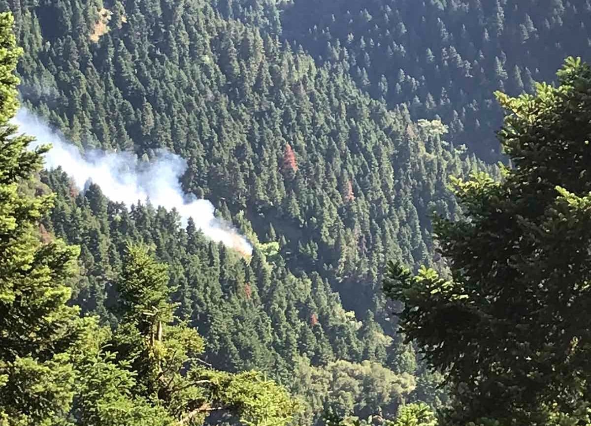Φωτιά στα Κρυονέρια Ναυπακτίας: Σηκώθηκαν 4 εναέρια μέσα