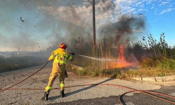 Πυροσβεστική: 5 συλλήψεις για φωτιές από αμέλεια στη Θεσσαλονίκη και στο Κιλκίς