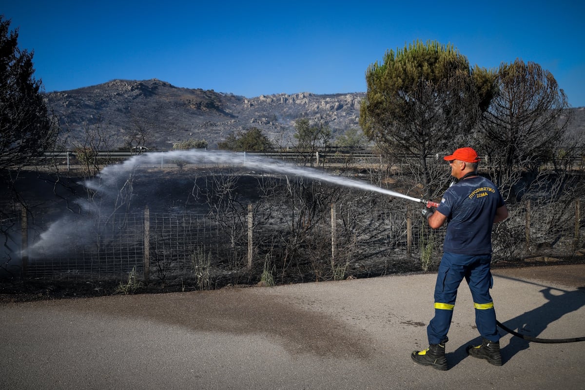 Βοιωτία: Δεκάδες νεκρά ζώα και σοβαρές καταστροφές σε κτηνοτροφική μονάδα και αγροτικές εκτάσεις από φωτιά 11 Φωτιά στη Βοιωτία