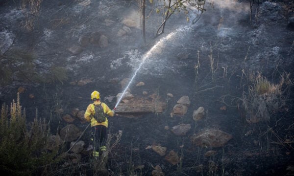 Πυροσβεστική: Τέσσερις συλλήψεις για φωτιές σε Θεσσαλονίκη, Βοιωτία, Εύβοια και Μαγνησία – Πάνω από 30 αγροτοδασικές πυρκαγιές το τελευταίο 24ωρο