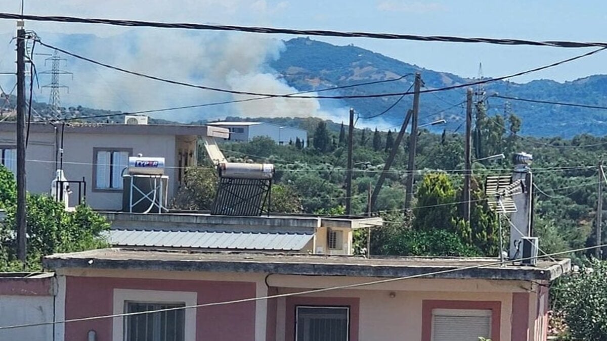 Φωτιά στη Δυτική Αχαΐα: Επιχειρούν και εναέρια μέσα 1 Φωτιά στη Δυτική Αχαΐα: Επιχειρούν και εναέρια μέσα