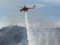 Φωτιά στη Βοιωτία: Ήχησε το 112, ισχυρές δυνάμεις στο σημείο