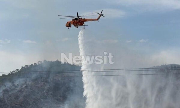 Φωτιά στη Βοιωτία: Ήχησε το 112, ισχυρές δυνάμεις στο σημείο