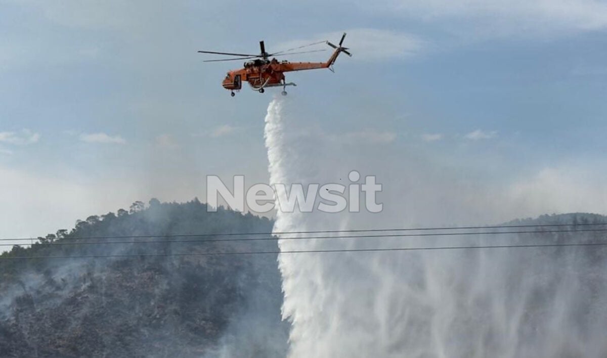Φωτιά στη Βοιωτία: Ήχησε το 112, ισχυρές δυνάμεις στο σημείο