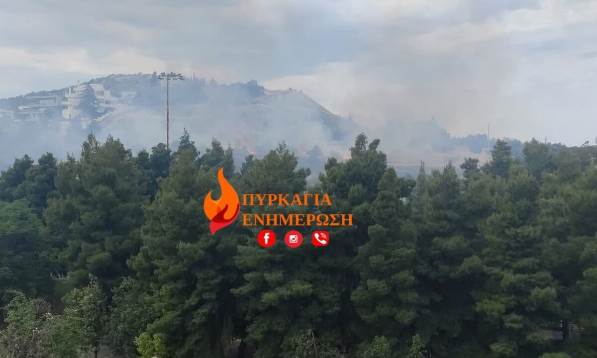 Πυρκαγιά πλησίον του Άλσους Βεΐκου: Ισχυρή επέμβαση της πυροσβεστικής