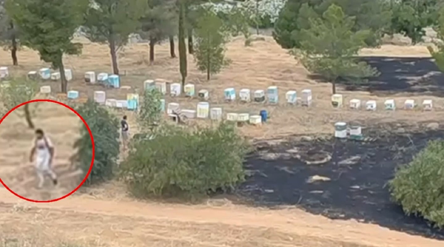 Φιλοθέη: Βίντεο-ντοκουμέντο καταγράφει μελισσοκόμο να φεύγει όταν ξέσπασε η φωτιά – Αναγνωρίστηκε και αναζητείται