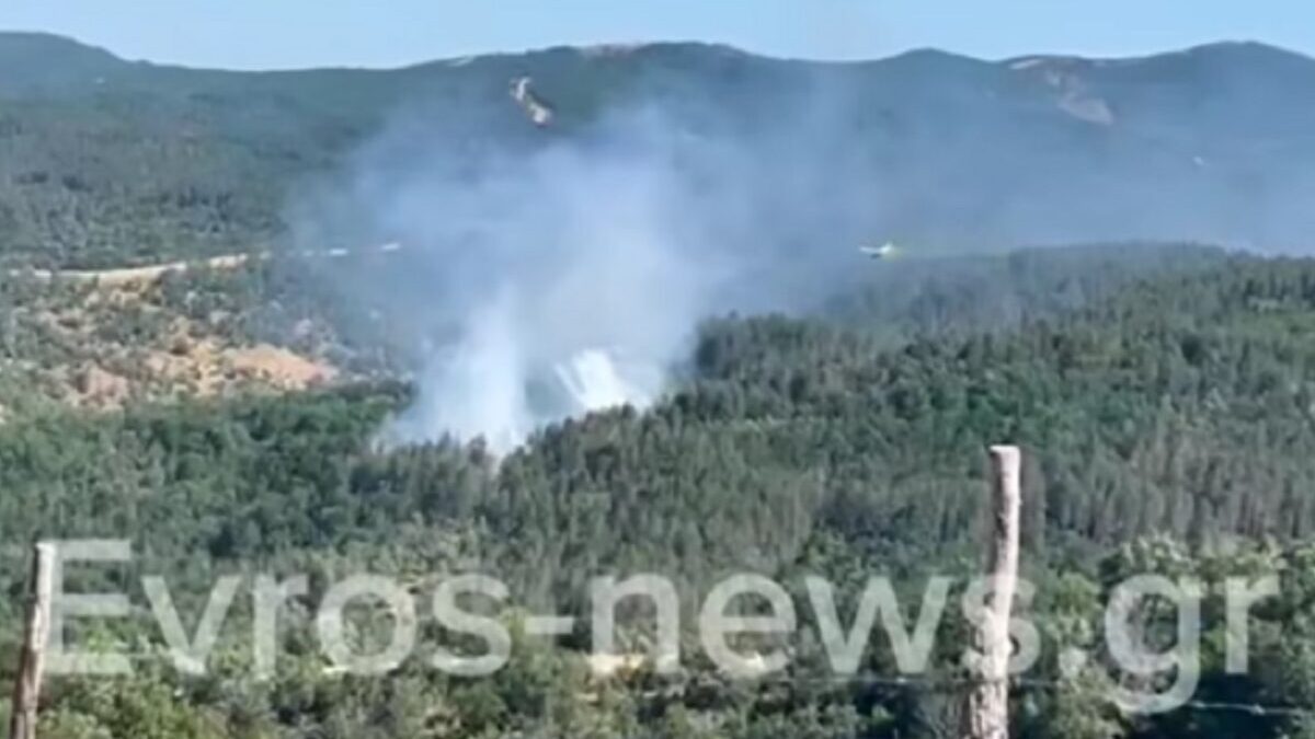 Φωτιά στον Έβρο σε δασική έκταση στο Μέγα Δέρειο 1 Φωτιά στον Έβρο σε δασική έκταση στο Μέγα Δέρειο