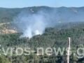 Φωτιά στον Έβρο σε δασική έκταση στο Μέγα Δέρειο