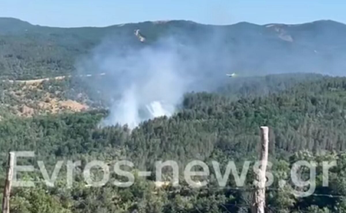 Φωτιά στον Έβρο σε δασική έκταση στο Μέγα Δέρειο