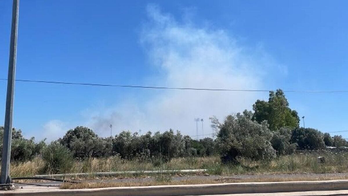 Φωτιά στον Ορχομενό Βοιωτίας: Εναέρια μέσα στο σημείο 1 Φωτιά στον Ορχομενό Βοιωτίας: Εναέρια μέσα στο σημείο