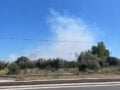 Φωτιά στον Ορχομενό Βοιωτίας: Εναέρια μέσα στο σημείο