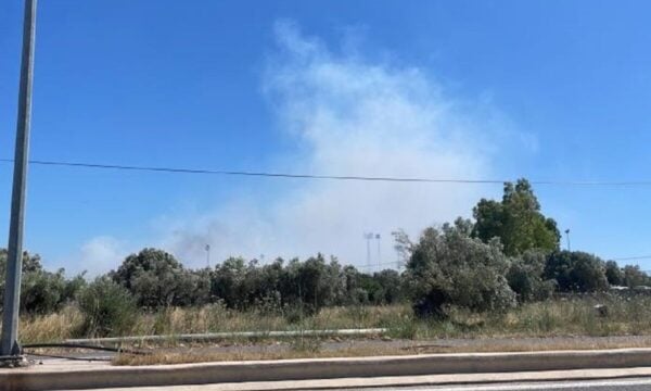 Φωτιά στον Ορχομενό Βοιωτίας: Εναέρια μέσα στο σημείο