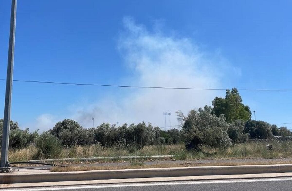Φωτιά στον Ορχομενό Βοιωτίας: Εναέρια μέσα στο σημείο