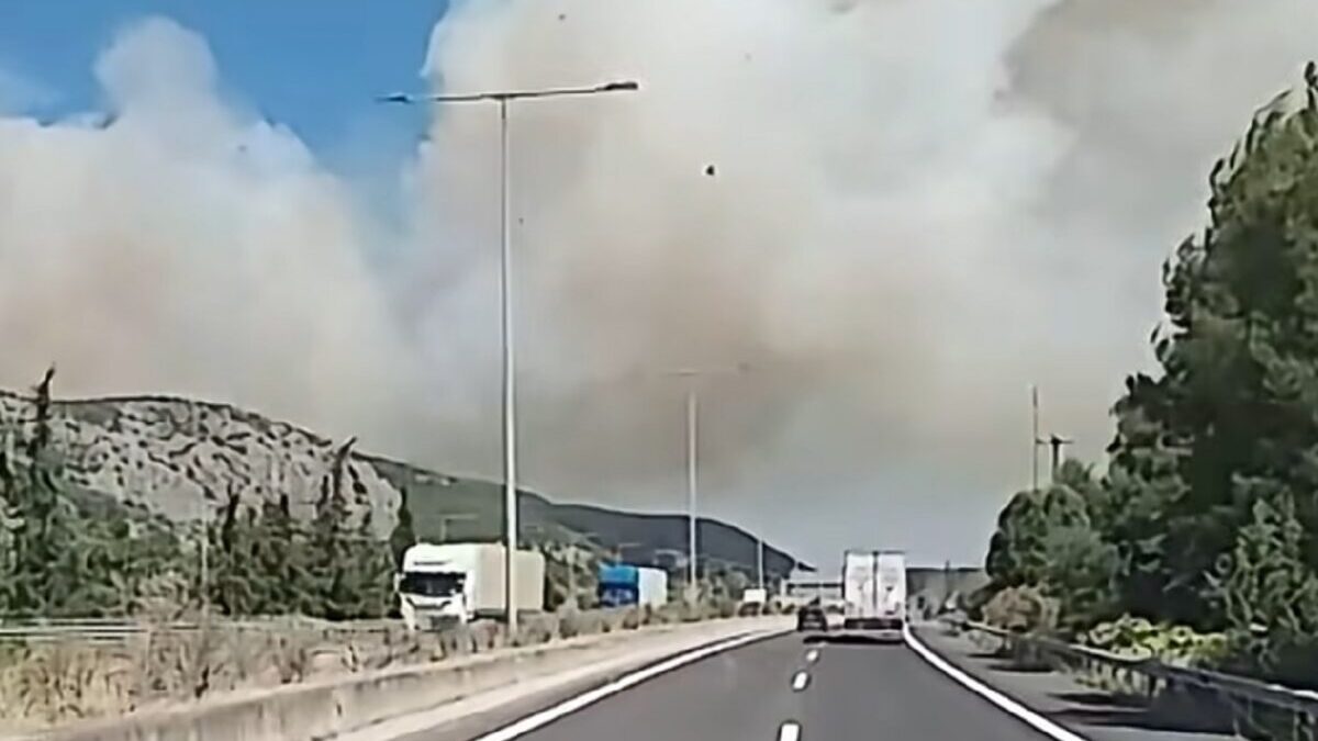 Φωτιά στη Βοιωτία: Μάχη με τις φλόγες στο Ακραίφνιο – Το 112 ήχησε για ετοιμότητα 1 Φωτιά στη Βοιωτία: Μάχη με τις φλόγες στο Ακραίφνιο – Το 112 ήχησε για ετοιμότητα