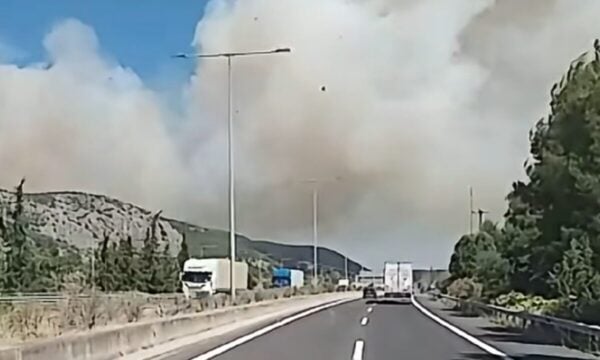 Φωτιά στη Βοιωτία: Μάχη με τις φλόγες στο Ακραίφνιο – Το 112 ήχησε για ετοιμότητα