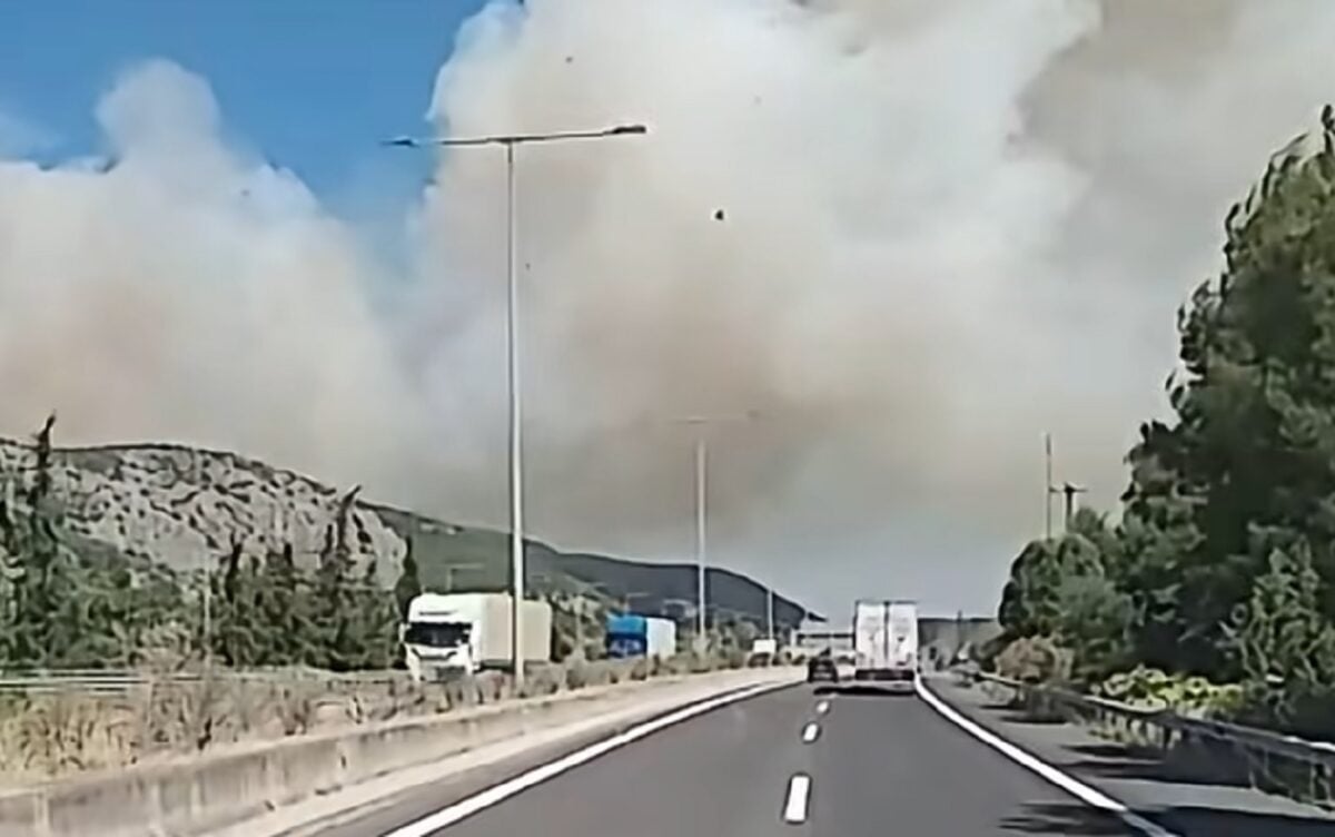 Φωτιά στη Βοιωτία: Μάχη με τις φλόγες στο Ακραίφνιο – Το 112 ήχησε για ετοιμότητα
