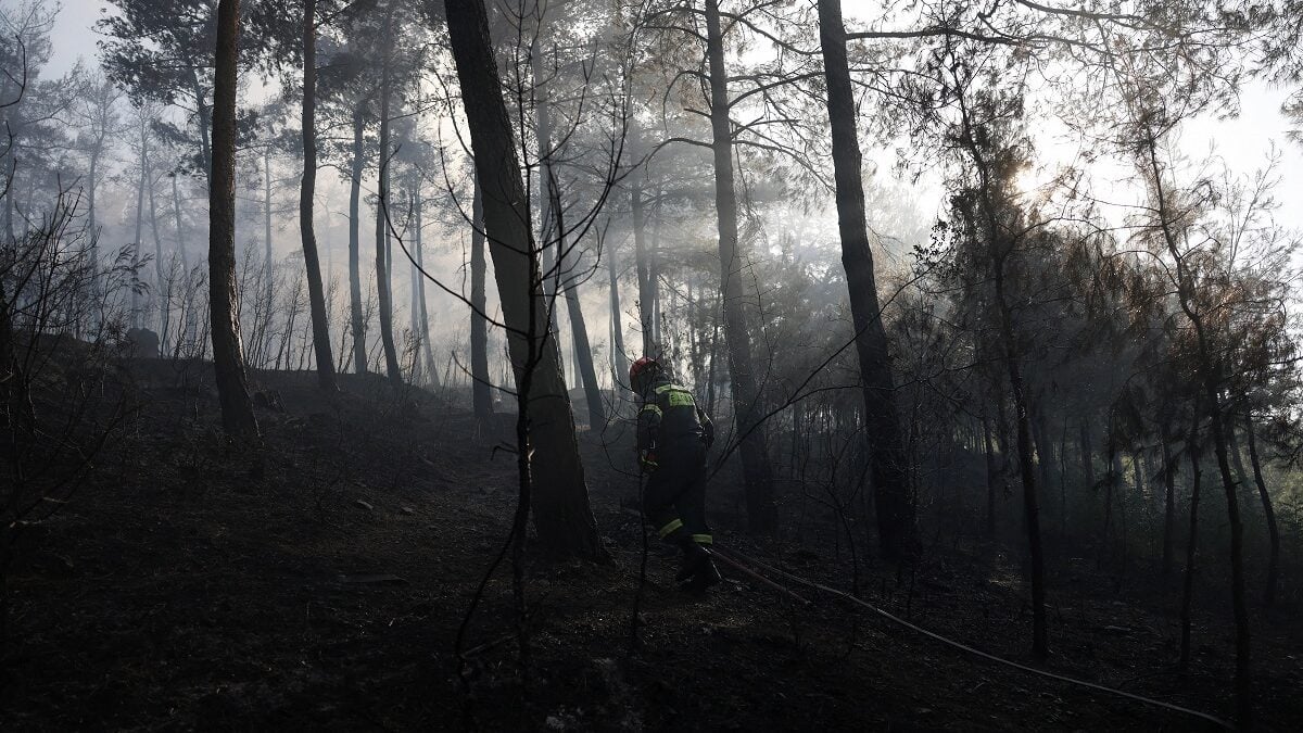 Ωραιόκαστρο: Εντοπίστηκε δεύτερη σορός μετά τη μεγάλη φωτιά 1 Ωραιόκαστρο: Εντοπίστηκε δεύτερη σορός μετά τη μεγάλη φωτιά