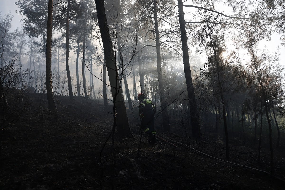 Ωραιόκαστρο: Εντοπίστηκε δεύτερη σορός μετά τη μεγάλη φωτιά