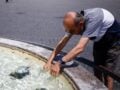 Καύσωνας: 58χρονος αγρότης έχασε τη ζωή του από θερμοπληξία στην Ιταλία – 16 πόλεις σε κόκκινο συναγερμό