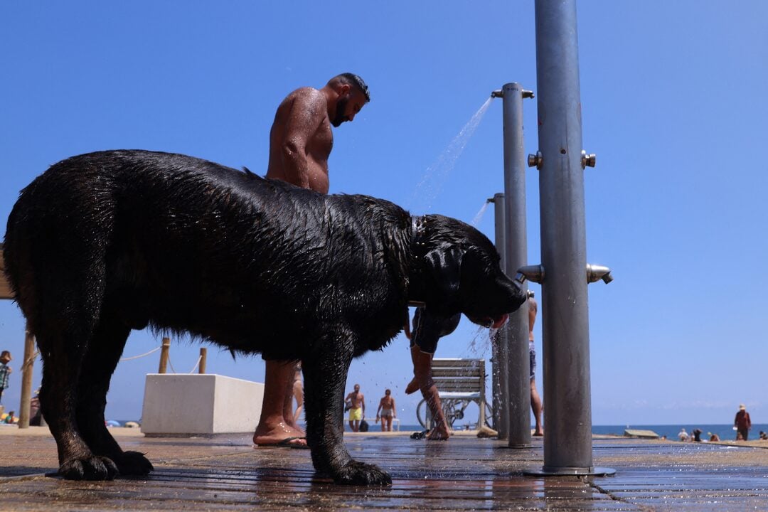 Καύσωνας στην Ισπανία: 639 νεκροί σε μόλις μία εβδομάδα – Το «μαύρο» ρεκόρ της Μαδρίτης και της Καταλονίας