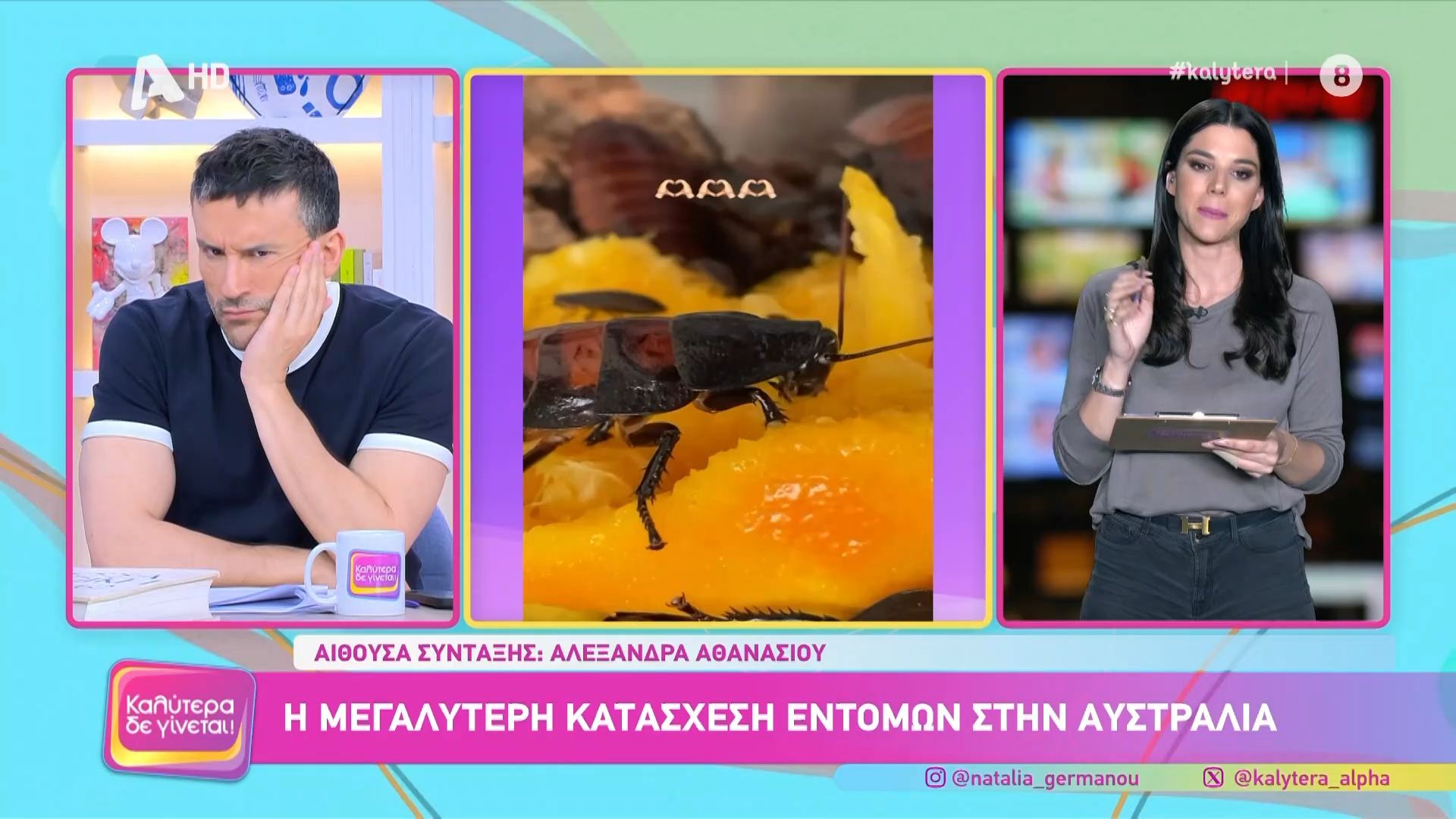 Η μεγαλύτερη κατάσχεση εντόμων στην Αυστραλία