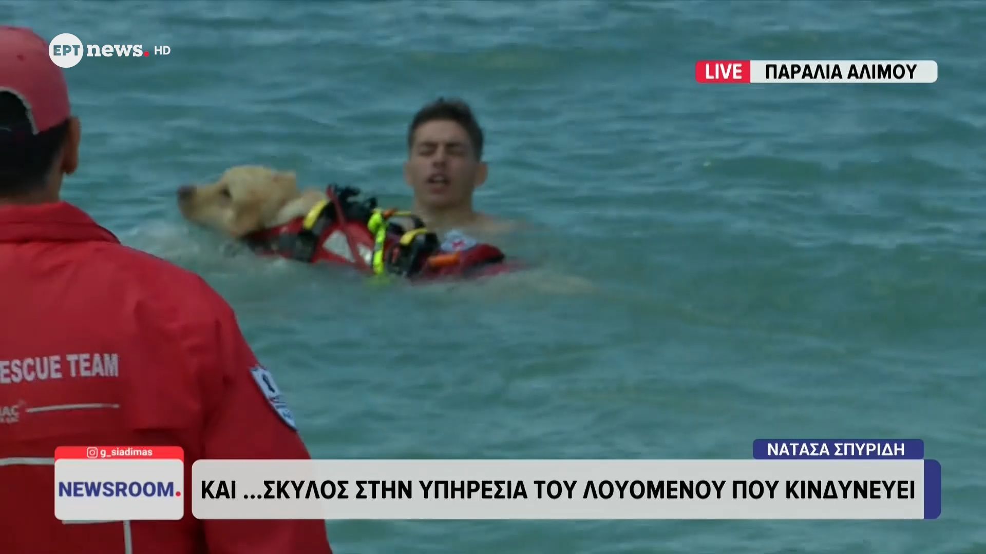 Και σκύλος διασώστης στην υπηρεσία του λουόμενου που κινδυνεύει