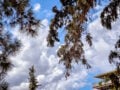 Καιρός σήμερα: Η θερμοκρασία αγγίζει τους 33 βαθμούς – Βροχές στα ορεινά και άνεμοι έως 7 μποφόρ στο Αιγαίο