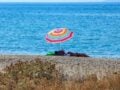 Καιρός: Υψηλές θερμοκρασίες έως 35 βαθμούς Κελσίου τις επόμενες δυο εβδομάδες – Τοπικές μπόρες τα μεσημέρια