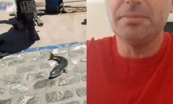 Λακογέφαλος δάγκωσε γνωστό Έλληνα τραγουδιστή – Πανικός στους λουόμενους (Βίντεο)
