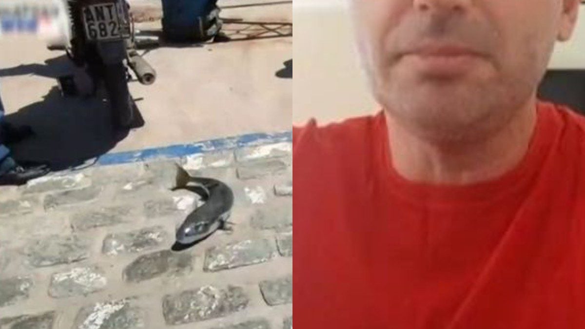 Λακογέφαλος δάγκωσε γνωστό Έλληνα τραγουδιστή – Πανικός στους λουόμενους (Βίντεο)