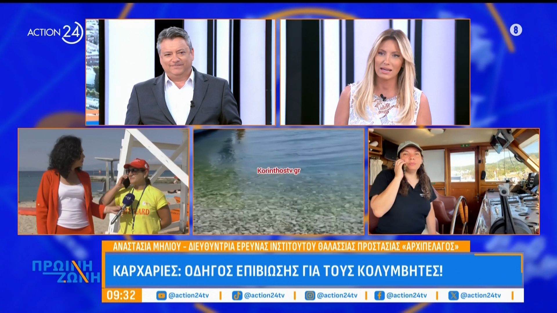 Καρχαρίες: Οδηγός επιβίωσης για τους κολυμβητές