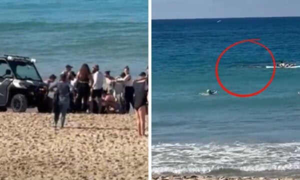 Αυστραλία: Επίθεση καρχαρία σε πολύχναστη παραλία – Γυναίκα τραυματίστηκε σοβαρά