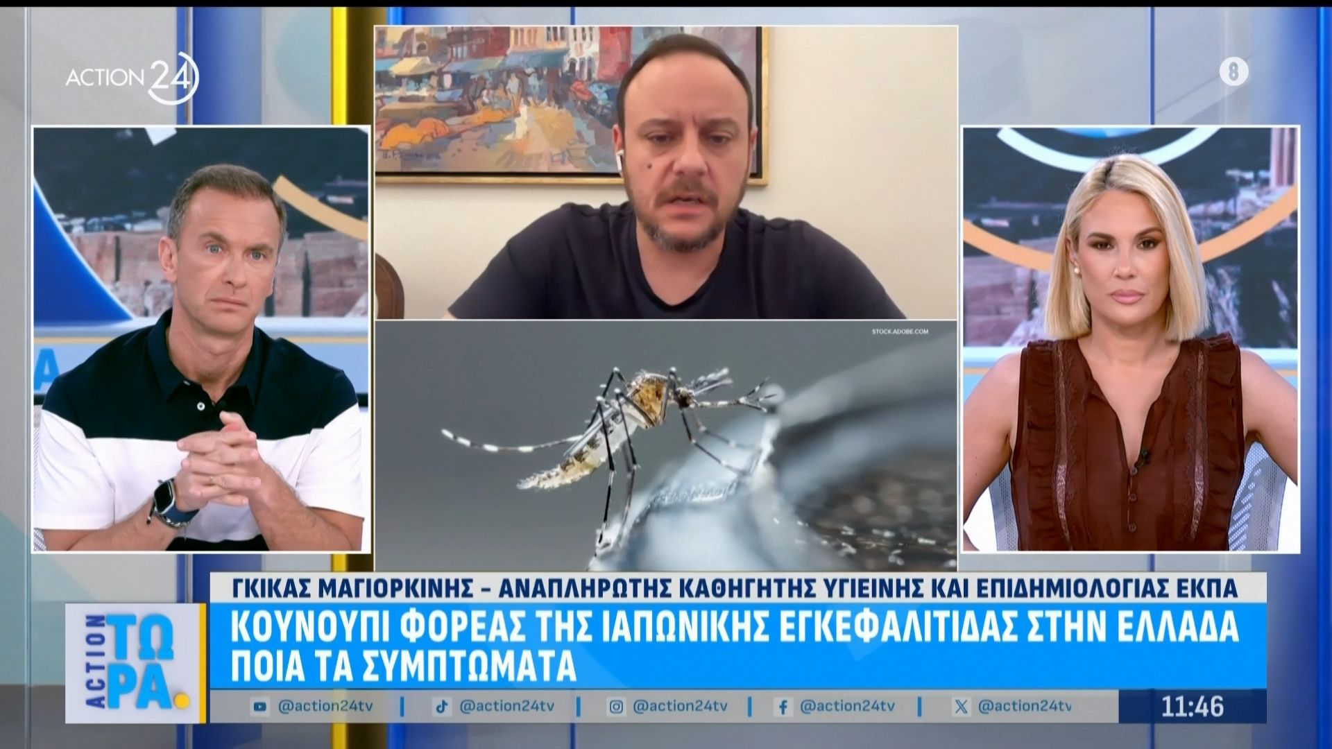 Κουνούπι φορέας της Ιαπωνικής εγκεφαλίτιδας στην Ελλάδα: Τα συμπτώματα και η πρόληψη