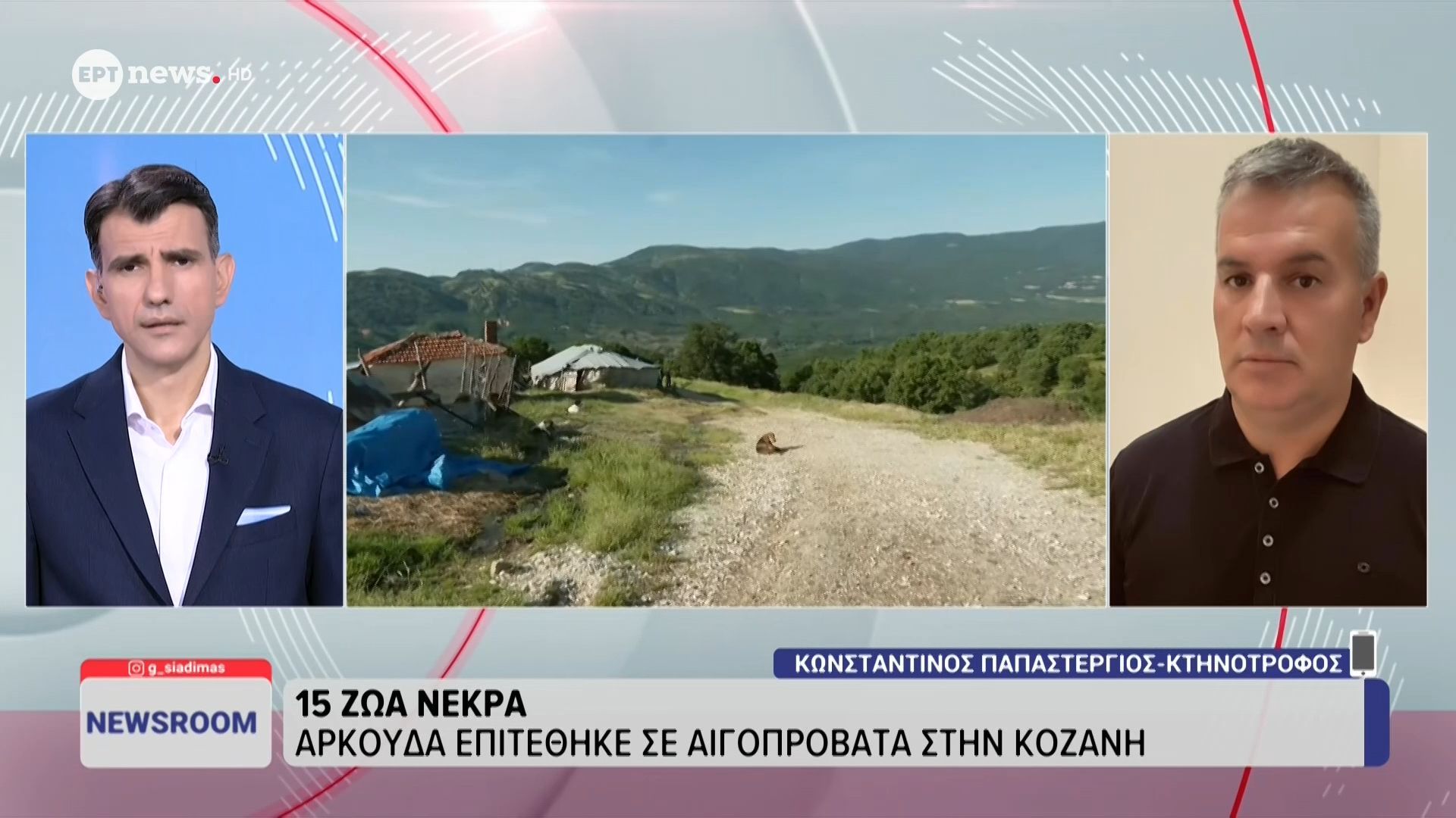 Κοζάνη – Κτηνοτρόφος: «Αντικρύσαμε σκοτωμένα ζώα παντού και τα σκυλιά γάβγιζαν»