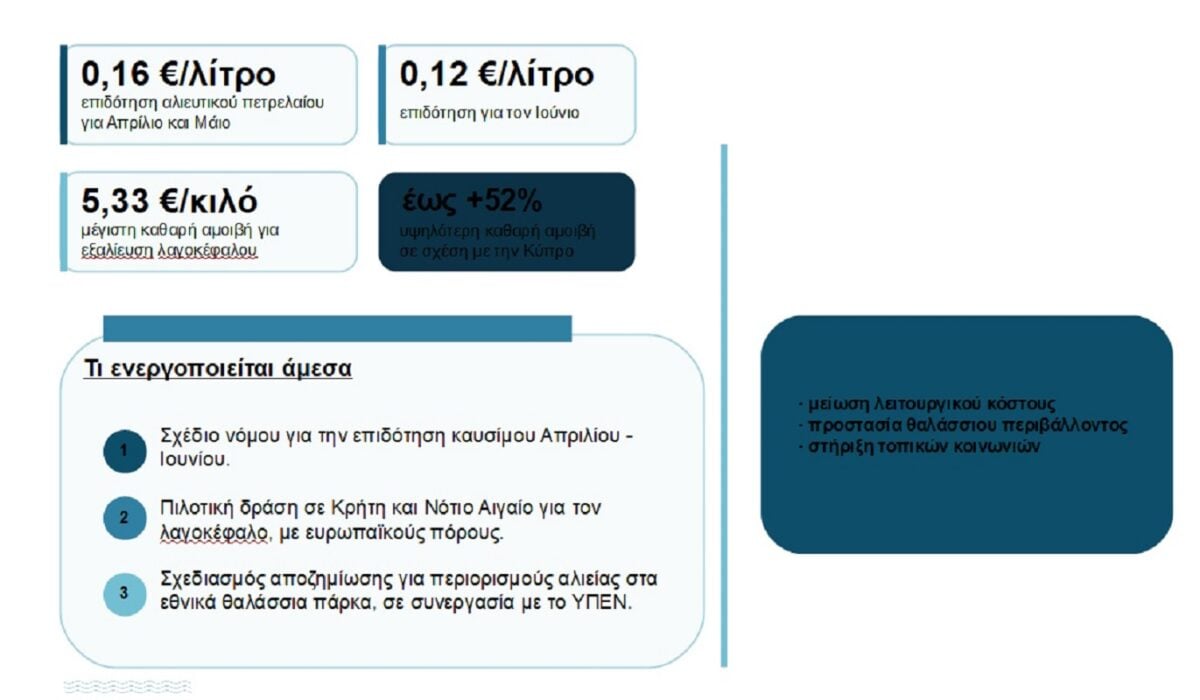 Η αμοιβή για τον λαγοκέφαλο ανεβαίνει στα 5,33 ευρώ το κιλό – Όλα τα μέτρα στήριξης για τους ψαράδες