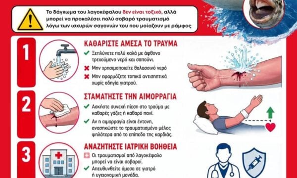 Λαγοκέφαλος: Ο εισβολέας των θαλασσών μετατρέπεται σε φθηνή τροφή στις ιχθυοκαλλιέργειες – Χάρτης με τα σημεία που έχει εμφανιστεί