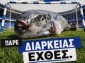 Ηρακλής για τα εισιτήρια διαρκείας: «Ο λαγοκέφαλος έφτασε στις παραλίες»